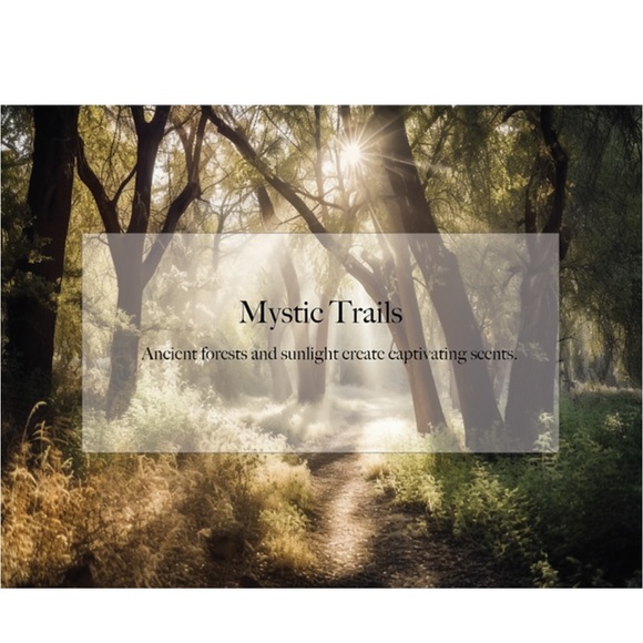 About Car Air Freshener | 6 Count (Pack of 1) | Mystic Trails - Picture 3 of 6